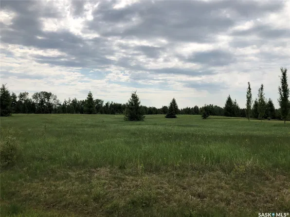 1 Northern Meadows Crescent, Goodsoil, SK S0M 1A0