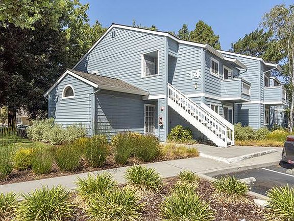 2nd image of 1534 Four Oaks Cir