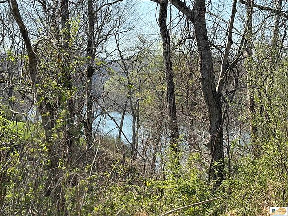3rd image of 0 Wells Landing Rd