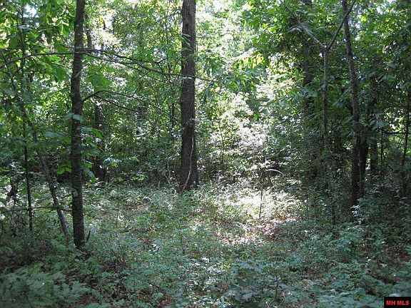 5th image of 225 County Road 634