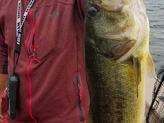 5th image of 1116 Frontier Rd