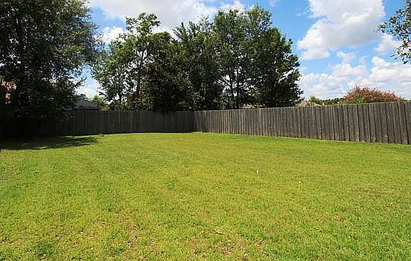 back yard