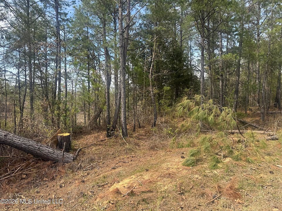 2nd image of Musgray Rd