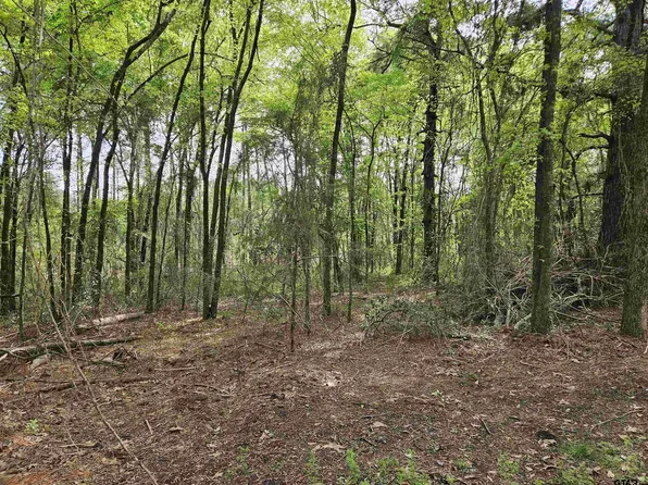 16971 Mary Martin Dr, Flint, TX 75762