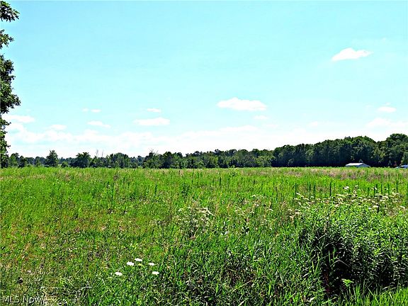 3rd image of Wolff Rd