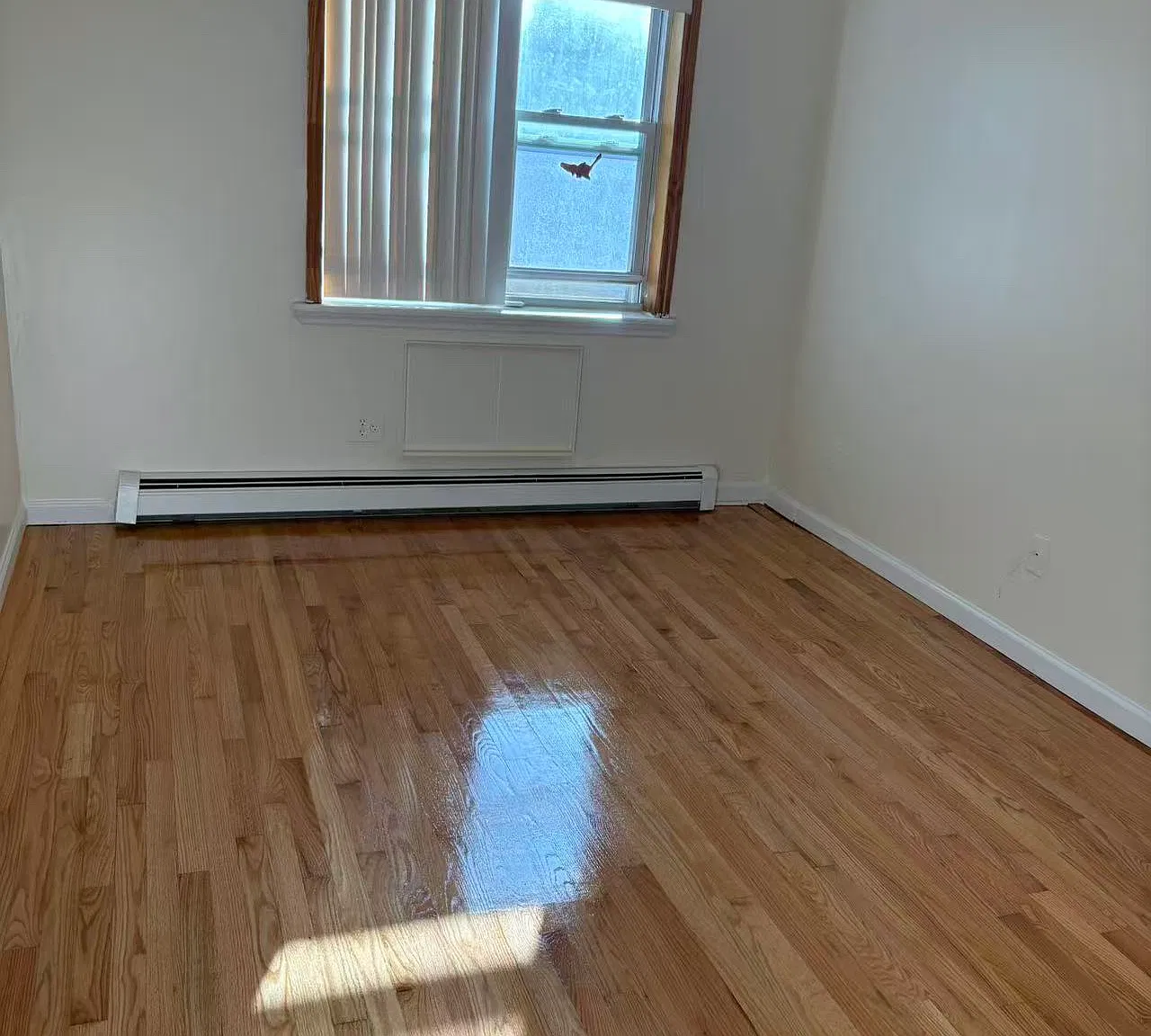 3 bed, 1200 sqft, $2,900 — Photo 3