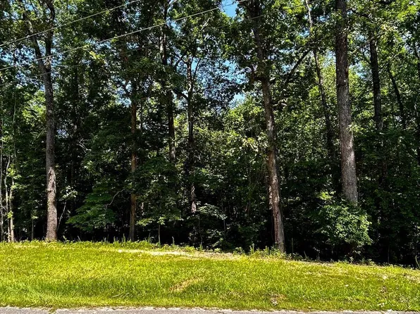 1020 Hopewell Dr, Saulsbury, TN 38067