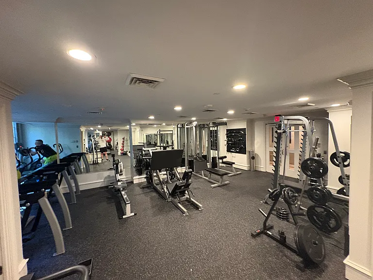 Gym with squat rack, pull-down bar, leg press, erg machine, bike, and ellipticals.