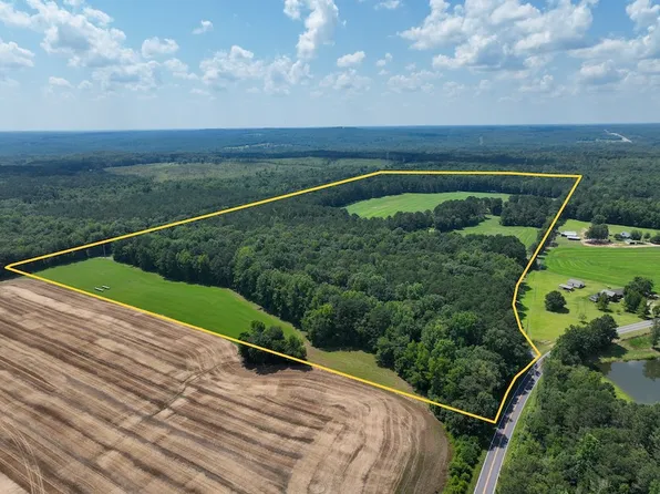 Silver Dollar Rd, Barnesville, GA 30204