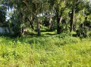17345 SE 54th St, Ocklawaha, FL 32179