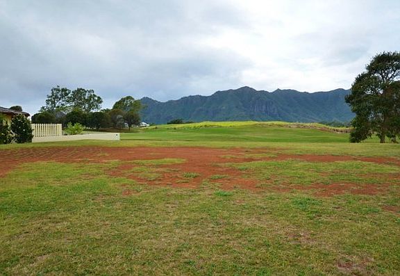 3rd image of Wiliko St