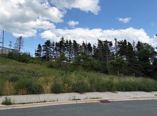 28 Blade Cres, Mount Pearl, NL A1N5K9