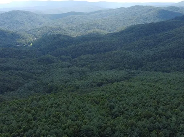 Tbd Buckwheat Rd, McGrady, NC 28649