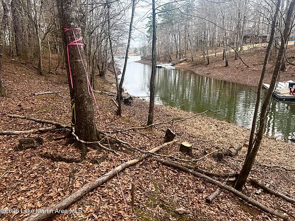 5th image of 58 Long Point Rd