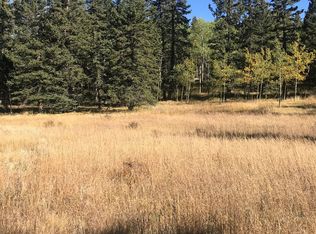 187 Joshua Rd, Divide, CO 80814