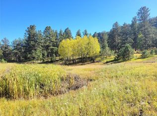 3032-4 County Road 12, Florissant, CO 80816