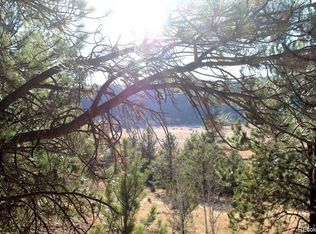 379 Bernard Creek Dr, Florissant, CO 80816
