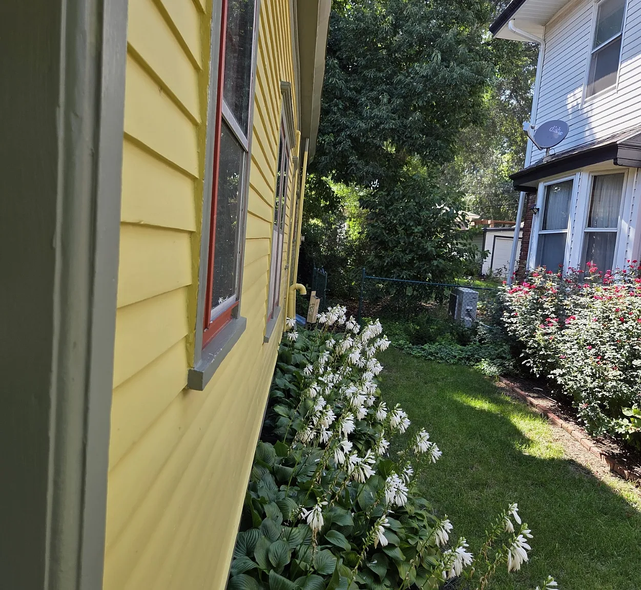 2 bed, 1000 sqft, $1,375 — Photo 3
