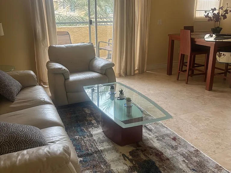270 E Flamingo Rd #436 — Photo 28