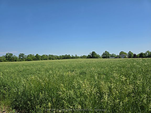 5th image of 0 Shannonville Rd