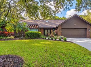 3300 Meadow View Ln, Palm Harbor, FL 34683