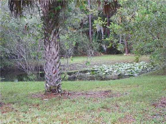 5th image of 6807 SW Wedelia Ter