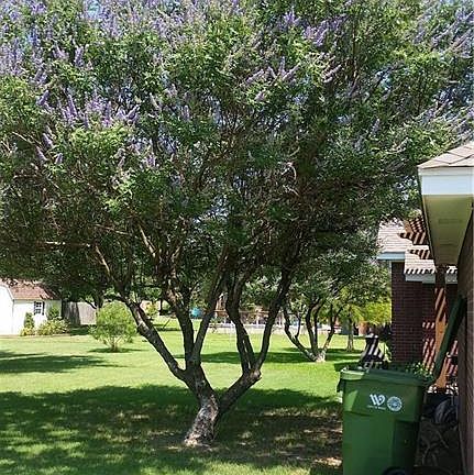 5th image of 841 Country Lane Dr