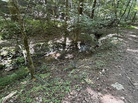 5th image of Town Road B&c Bear Hollow Way