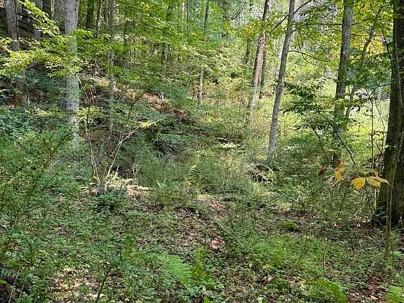 4th image of TBD Grassy Creek Road