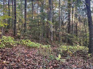 9999 Fox Town Rd, Hot Springs, NC 28743