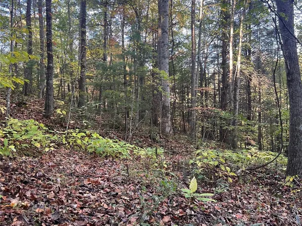 9999 Fox Town Rd, Hot Springs, NC 28743