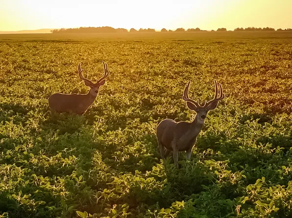 190th St, Fort Pierre, SD 57532