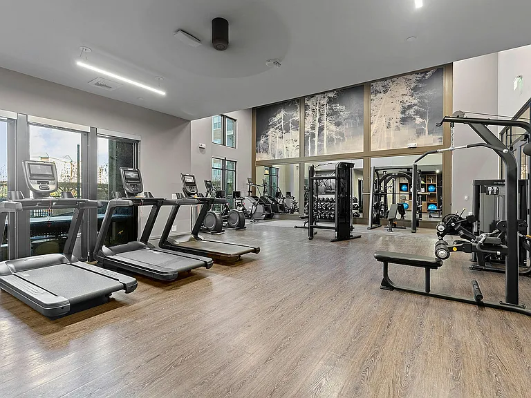 Luxurious fitness center with modern treadmills, weight machines, and expansive windows offering a bright, inviting atmosphere.