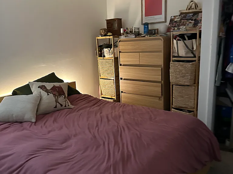 Downstairs Bedroom