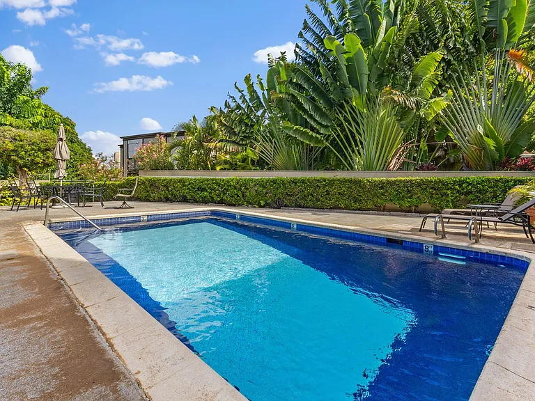 3103 Pualei Cir #203 — Photo 22
