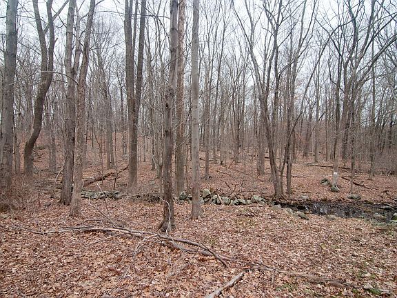 Deepwood Lot 4-2 Photo.jpg