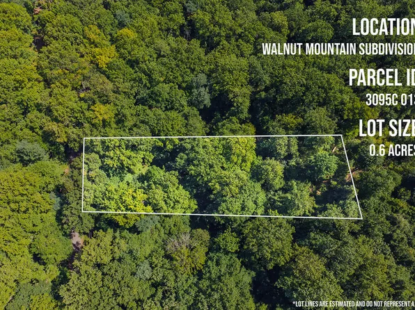 H 91 Mountain Oak Rd, Ellijay, GA 30536