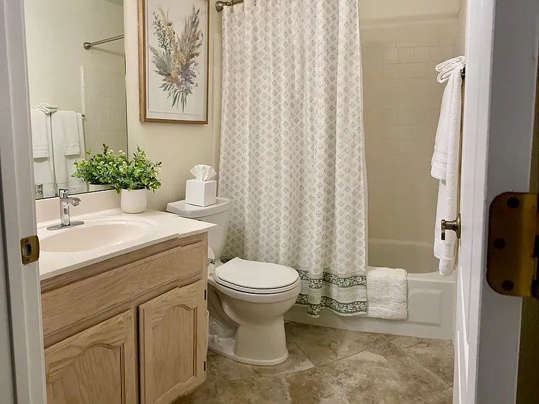 Guest Bathroom