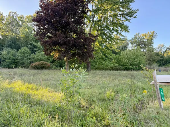4050 Division St, Wayland, MI 49348