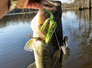 Pope Lake Rd, Angier, NC 27501