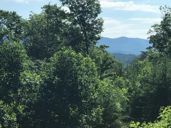 11 Brown Haven Hts, Hiawassee, GA 30546