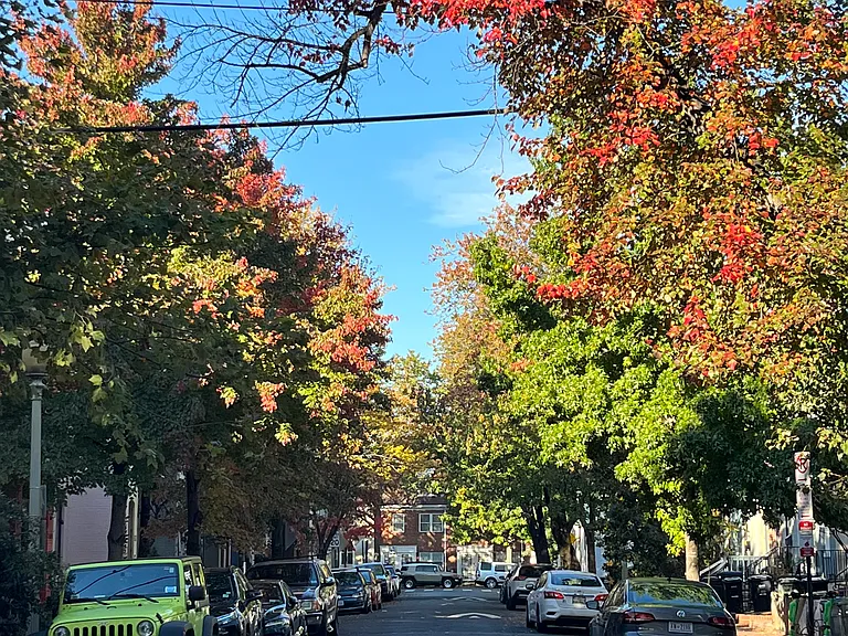 421 Warner St NW — Photo 9