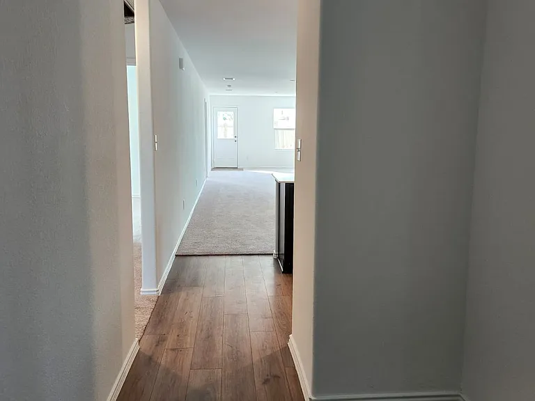 178 Northern Pintail Dr — Photo 24