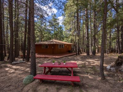 1423 Geode Dr, Forest Lakes, AZ, 85931