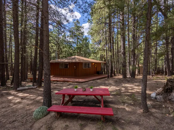 1423 Geode Dr, Forest Lakes, AZ 85931