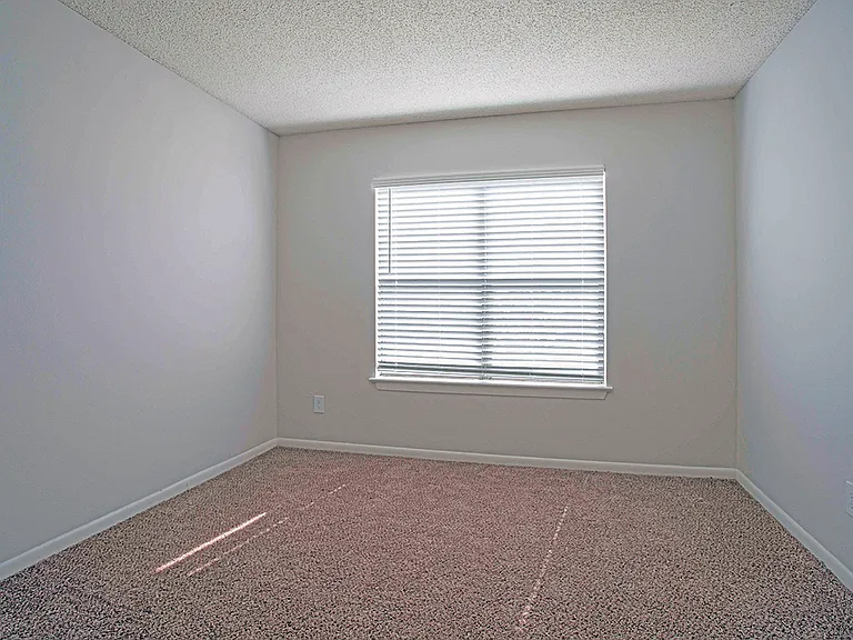 Cozy Plush Carpeting