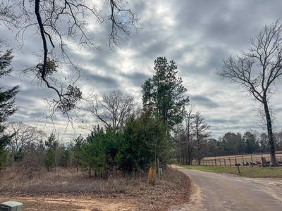 2619 Cr, Marietta, TX, 75566