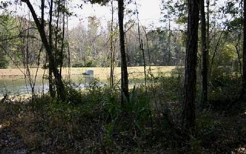 2nd image of N Hampton Club Way