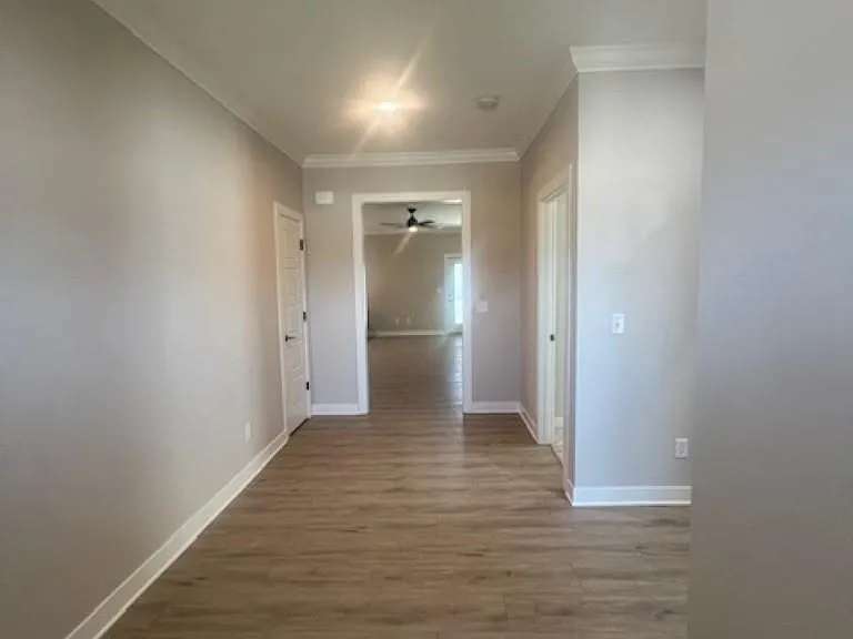 3838 High Pointe Ln — Photo 3