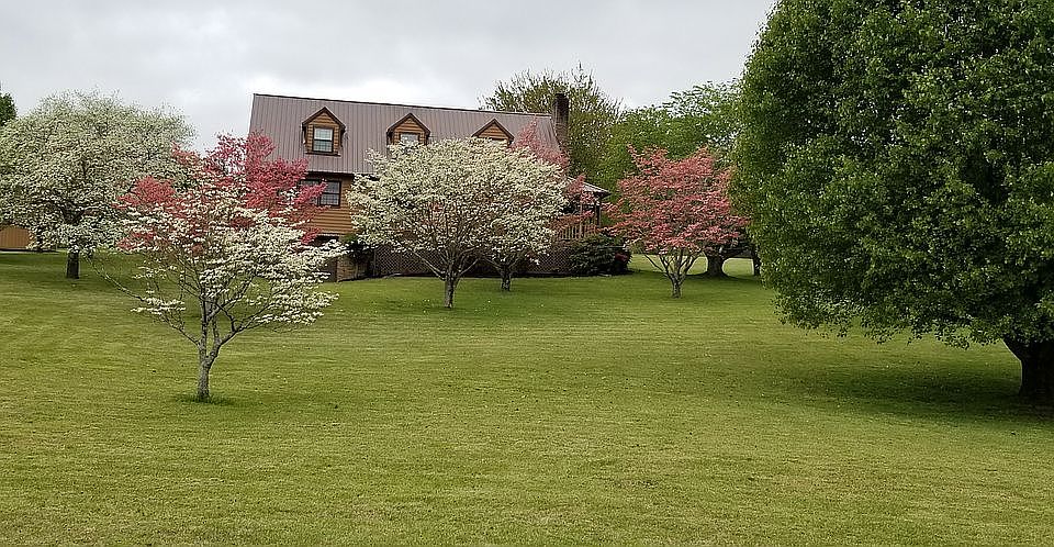 Spring lawn with dogwoods